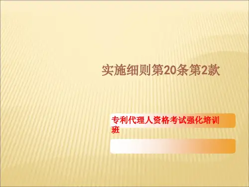 必要技术特征ppt课件