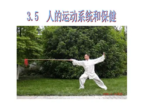 人的运动系统和保健.ppt