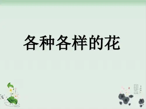 四年级下册科学课件PPT：各种各样的花-教科版4