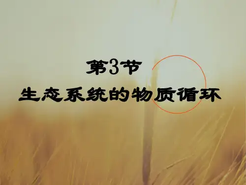 生物必修三第5章第3节 生态系统的物质循环 课件 共14张