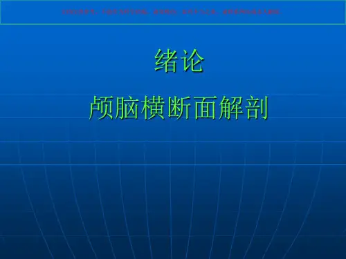 人体断面与影像解剖学课件