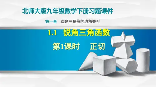 北师大版九年级数学下册习题课件全册