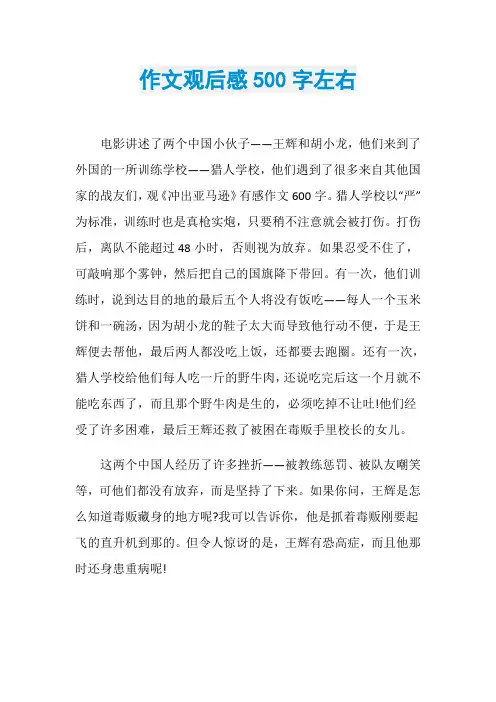 作文观后感500字左右