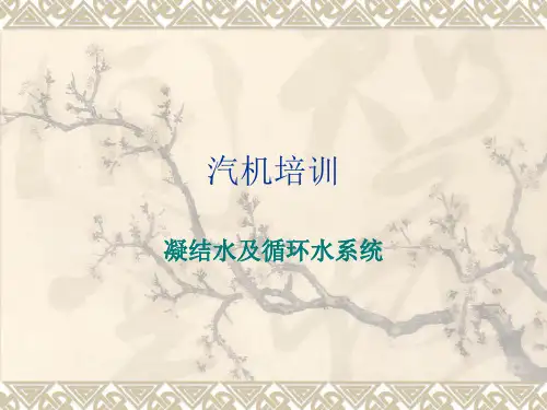 2汽机培训(凝结水及循环水系统)解析