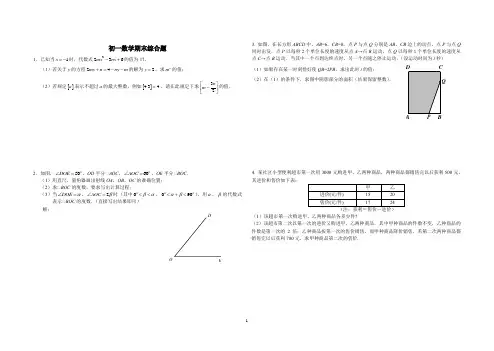 初一数学期末综合题