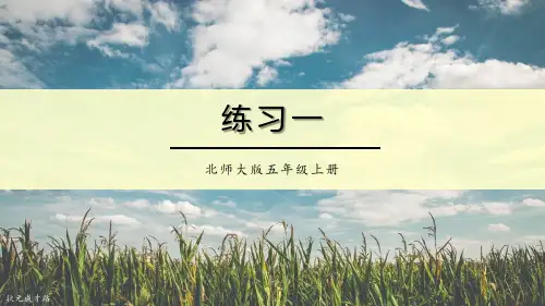 北师大版五年级数学上册 练习一