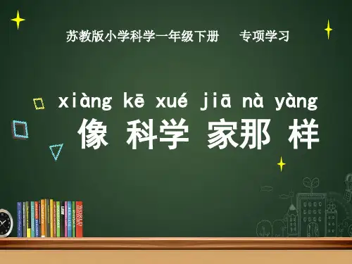 像科学家那样