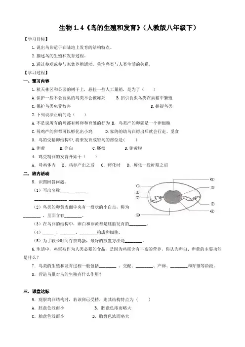 人教版-生物-八年级下册1.4《鸟的生殖和发育》学案