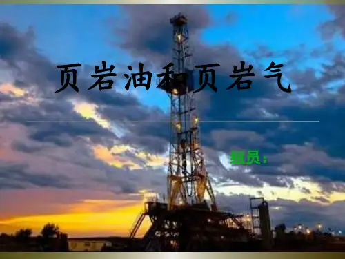 页岩油、页岩气