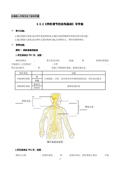 济南版七年级生物下册3.5.2《神经调节的结构基础》导学案