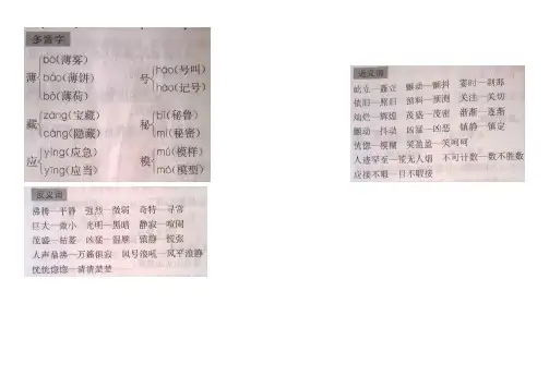 四年级第一单元词语盘点
