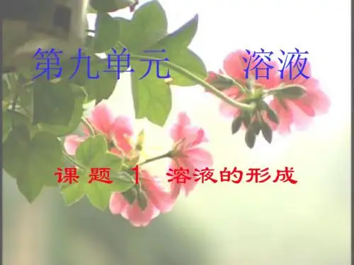 溶液的形成PPT课件16 人教版