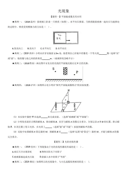 2020届九年级中考物理一轮复习《光现象》题型分类练习