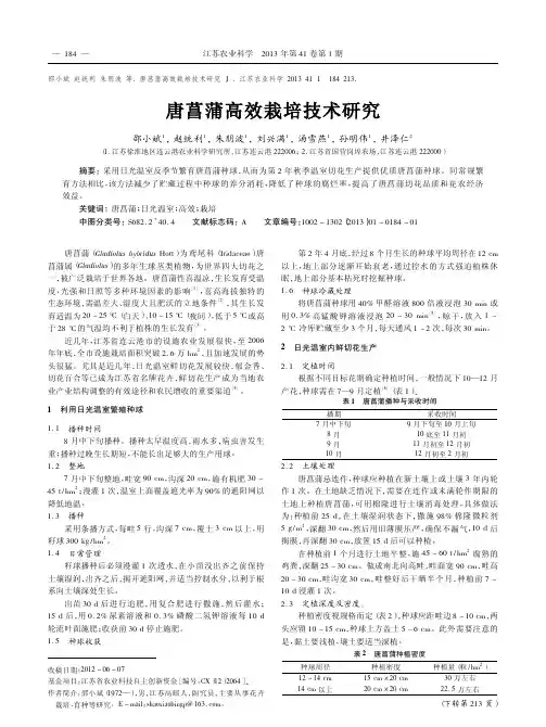 唐菖蒲高效栽培技术研究邵小斌