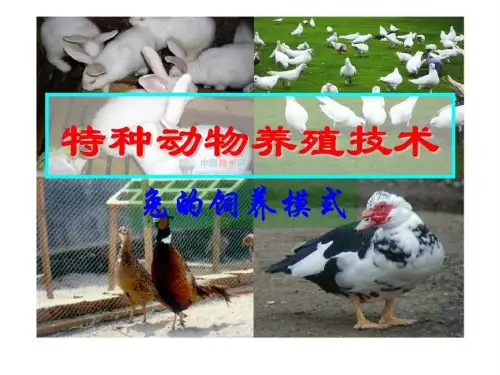 特种经济动物养殖培训班课程03-兔共72页文档