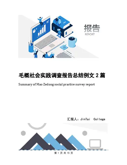 毛概社会实践调查报告总结例文2篇