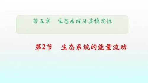 第5章 第2节生态系统的能量流动