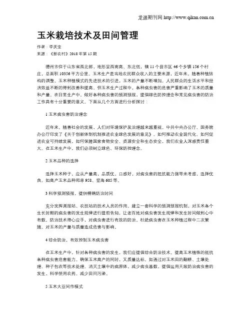 玉米栽培技术及田间管理
