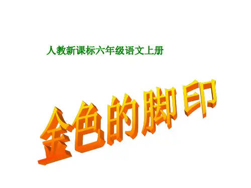 人教新课标六年级语文上册《7.24金色的脚印》PPT教学课件