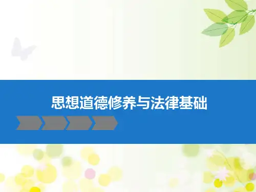 思想道德修养与法律基础 PPT课件