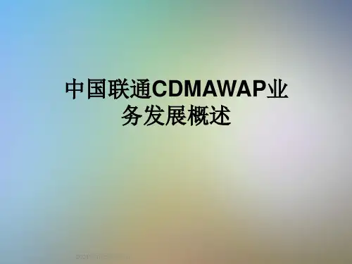 中国联通CDMAWAP业务发展概述