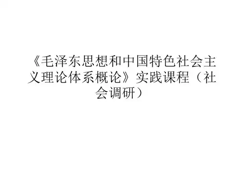 社会实践(毛概作业)