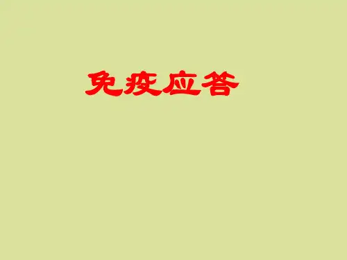 北师大版高中生物必修3：稳态与环境免疫应答