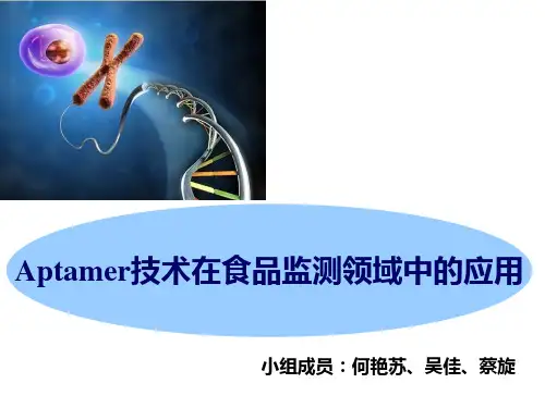 Aptamer技术在食品安全监测领域中的应用