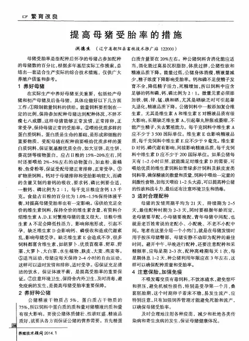 提高母猪受胎率的措施