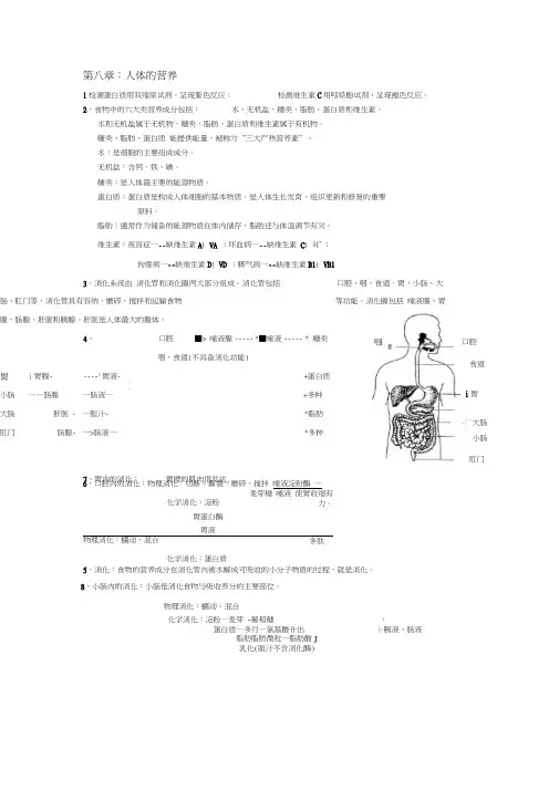 (完整word版)北师大版七年级下册生物复习提纲