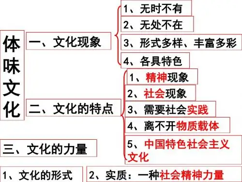 高二政治体味文化2