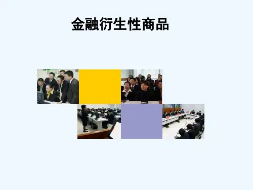 看涨期权和看跌期权