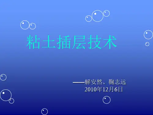 粘土插层技术