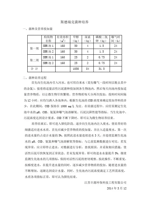菌种培养
