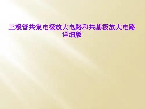 三极管共集电极放大电路和共基极放大电路详细版