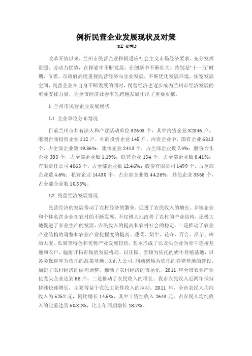 例析民营企业发展现状及对策