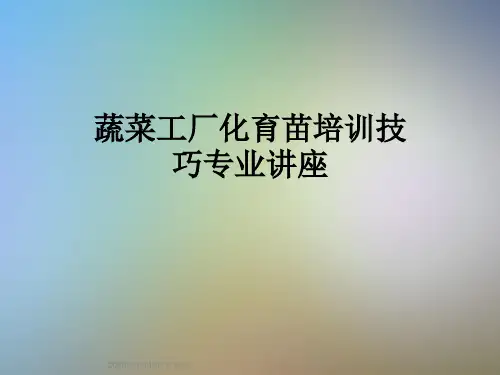 蔬菜工厂化育苗培训技巧专业讲座
