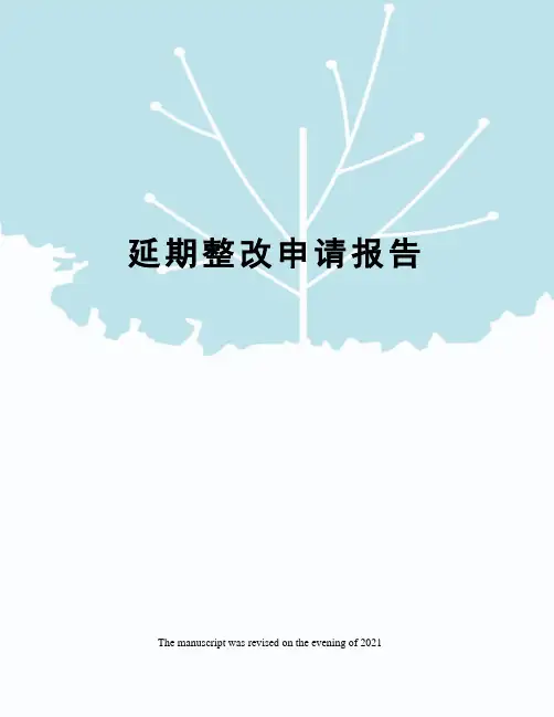 延期整改申请报告