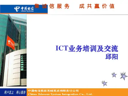 电信ICT业务培训及交流.pptx