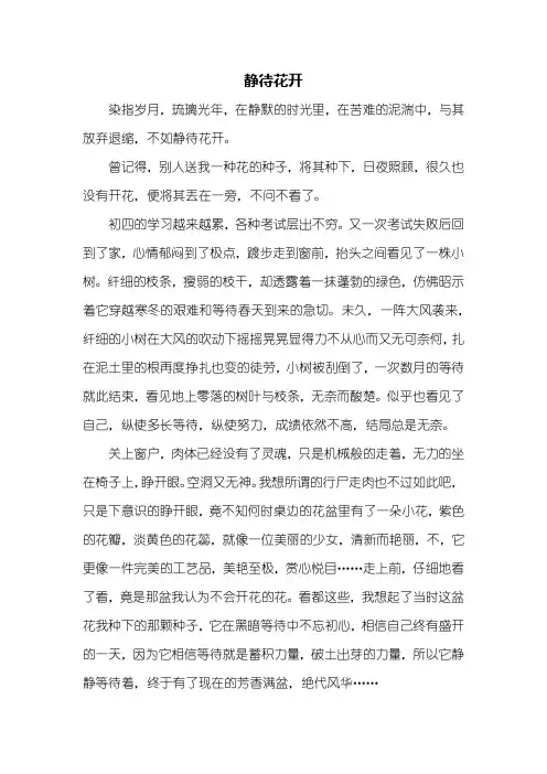 高一作文：静待花开作文800字_2