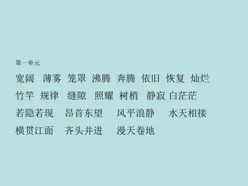 词语盘点