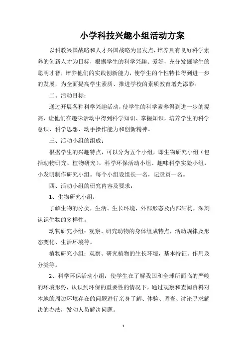 小学科技兴趣小组活动方案