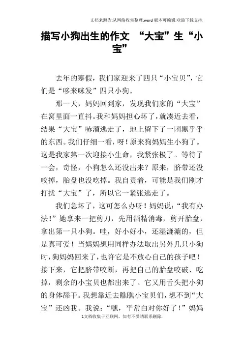 描写小狗出生的作文“大宝”生“小宝”