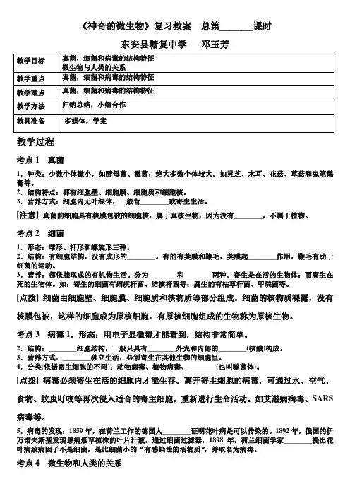 神奇的微生物
