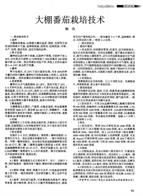 大棚番茄栽培技术