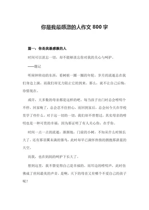 你是我最感激的人作文800字