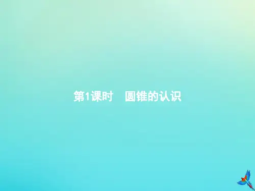 六年级数学下册第3单元圆柱与圆锥2圆锥第1课时圆锥的认识习题课件新人教版