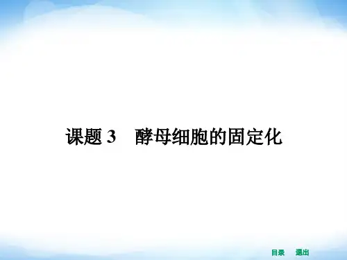 高中生物课件4.3 酵母细胞的固定化