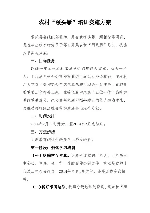农村领头雁培训实施方案