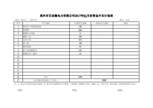 资金开支计划表
